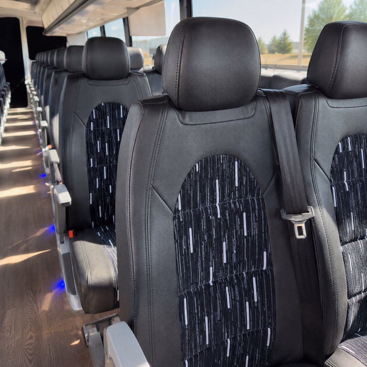 charter buses for marine science field trips to the aquarium of the pacific
